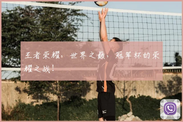 王者荣耀，世界之巅，冠军杯的荣耀之战！