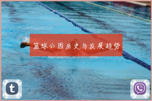 篮球公园历史与发展趋势