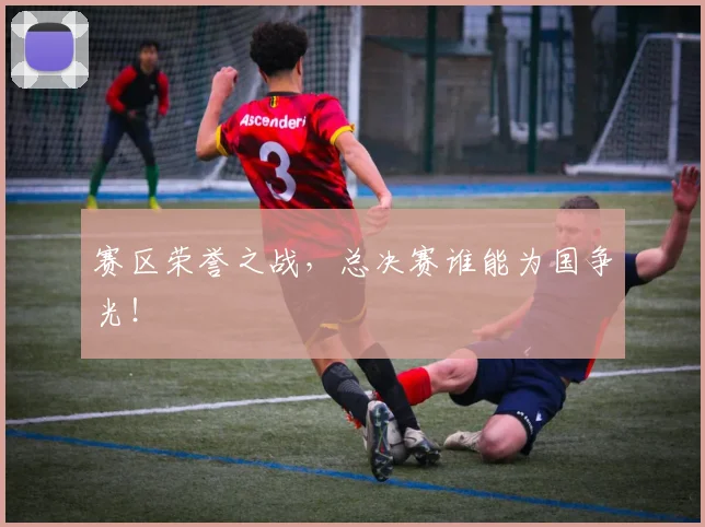 赛区荣誉之战，总决赛谁能为国争光！