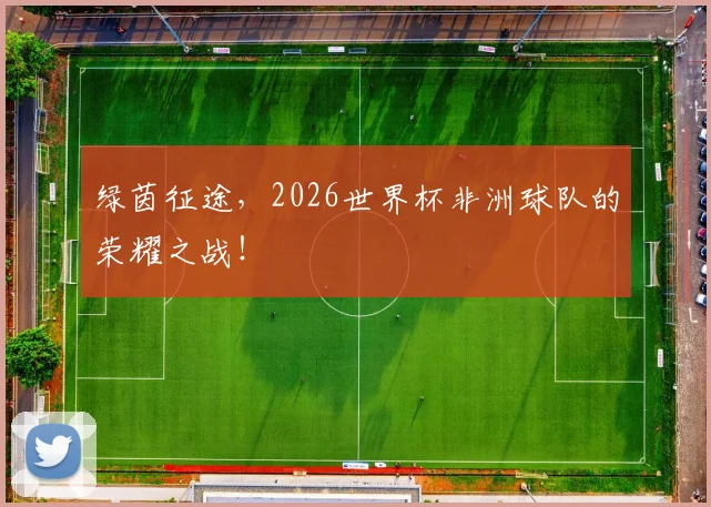绿茵征途，2026世界杯非洲球队的荣耀之战！