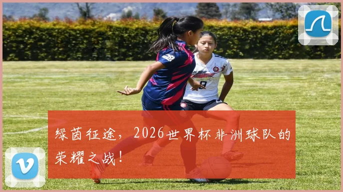 绿茵征途，2026世界杯非洲球队的荣耀之战！