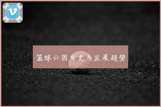 篮球公园历史与发展趋势