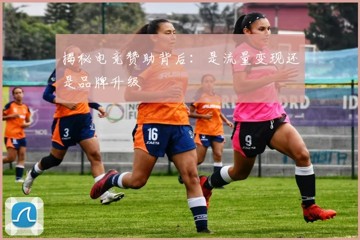 揭秘电竞赞助背后:是流量变现还是品牌升级